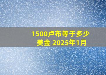 1500卢布等于多少美金 2025年1月